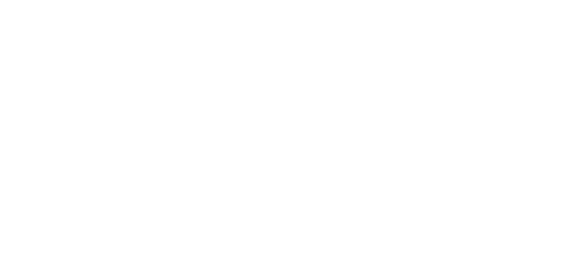 Diagnostico Veterinario REMISI&Oacute;N