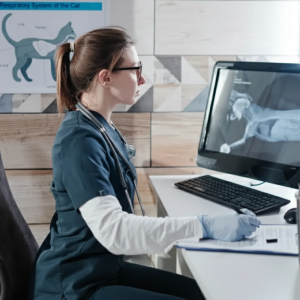 radiologia-digital-diagnostico-veterinario